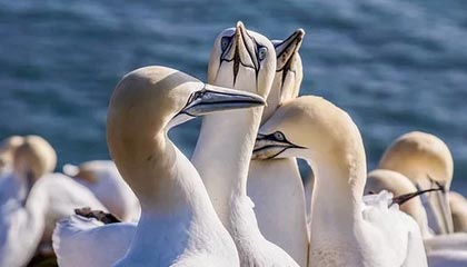 世界杯高清直播平台-马拉多纳去世 长眠在父母身旁 他还留下哪些亲人？